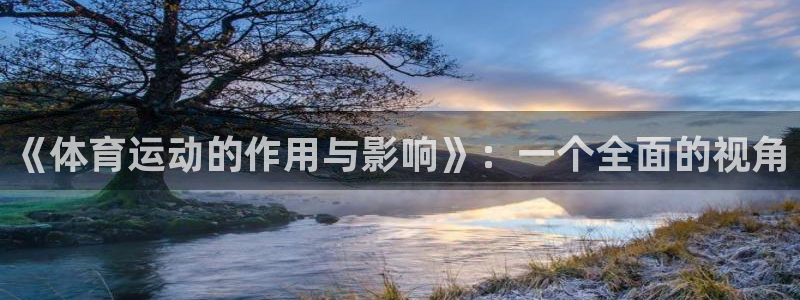 xc体育